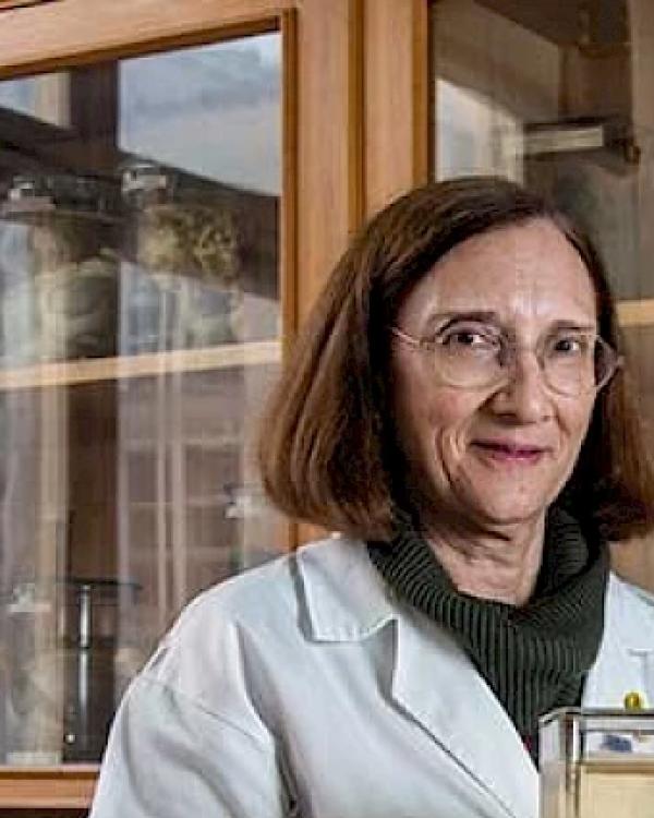 Doutora Lina Maria Rodrigues Carvalho
